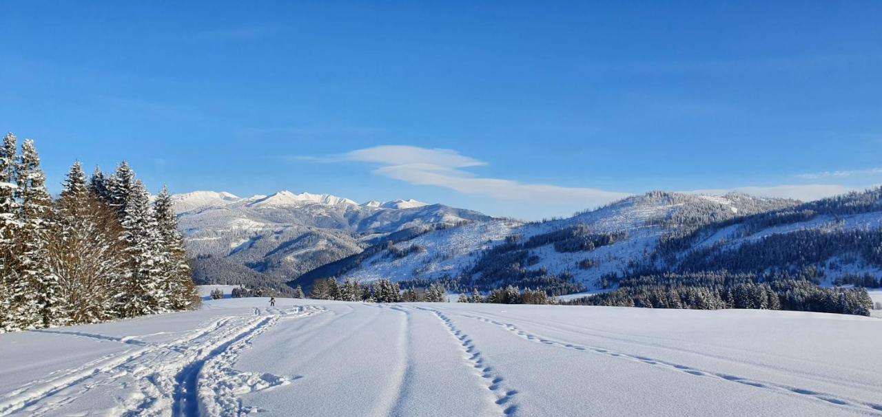 Вилла Drevenica Borovianka Velke Borove Экстерьер фото