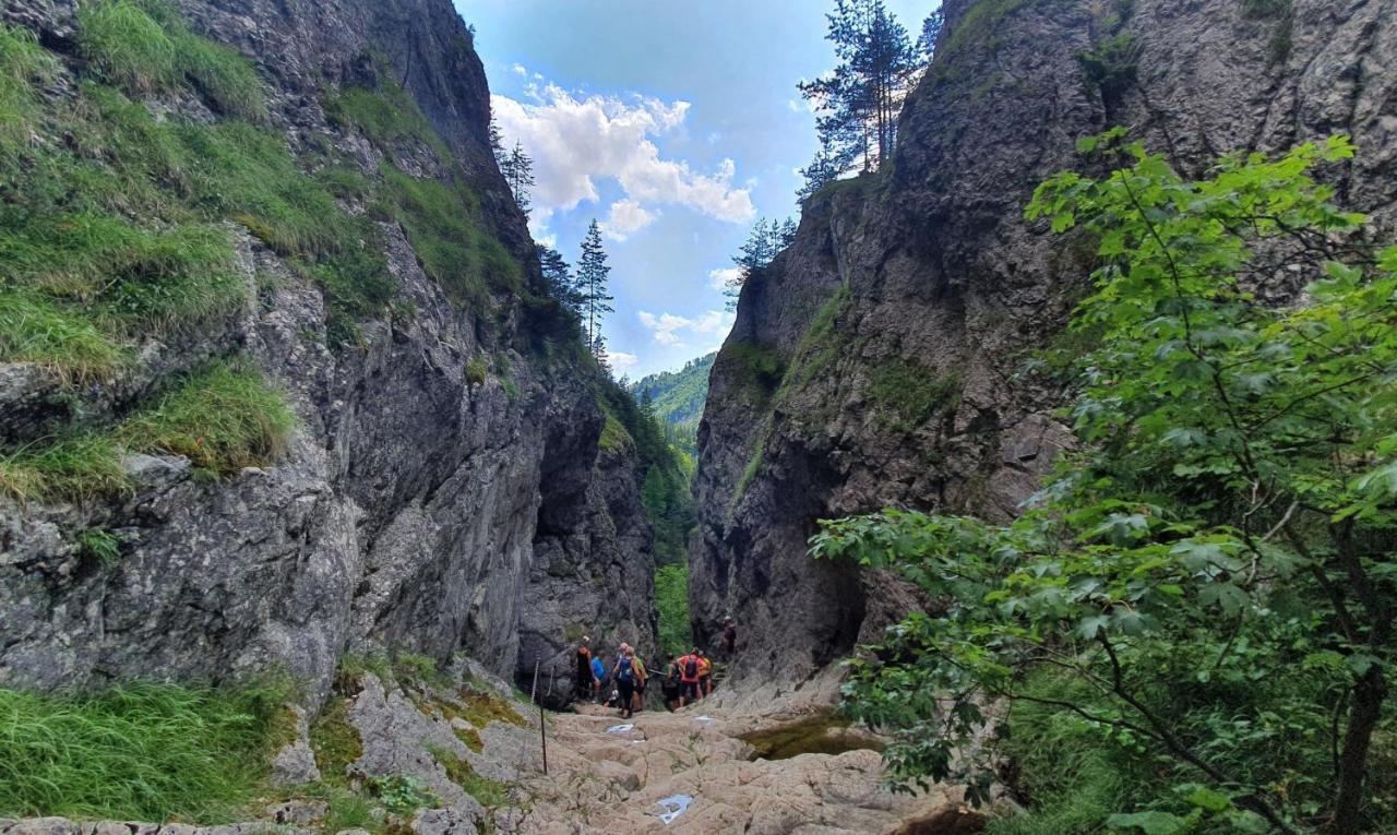 Вилла Drevenica Borovianka Velke Borove Экстерьер фото