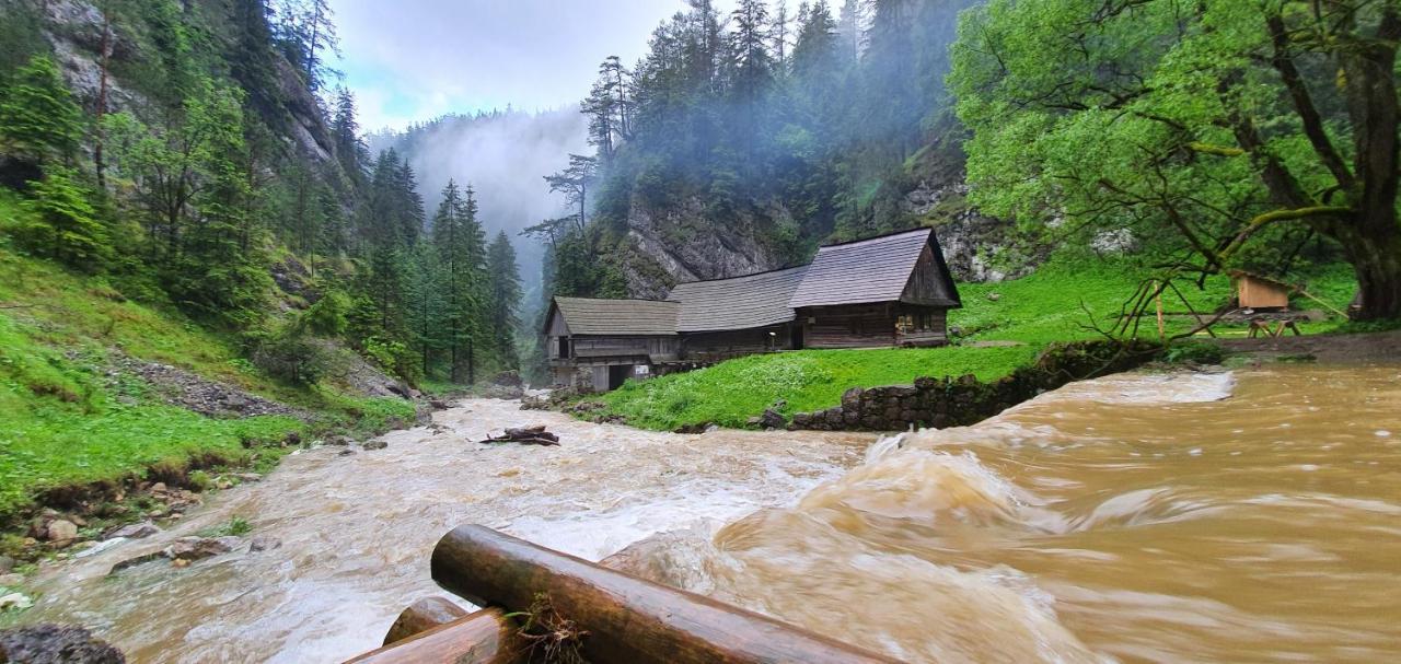 Вилла Drevenica Borovianka Velke Borove Экстерьер фото