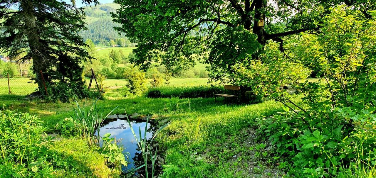Вилла Drevenica Borovianka Velke Borove Экстерьер фото
